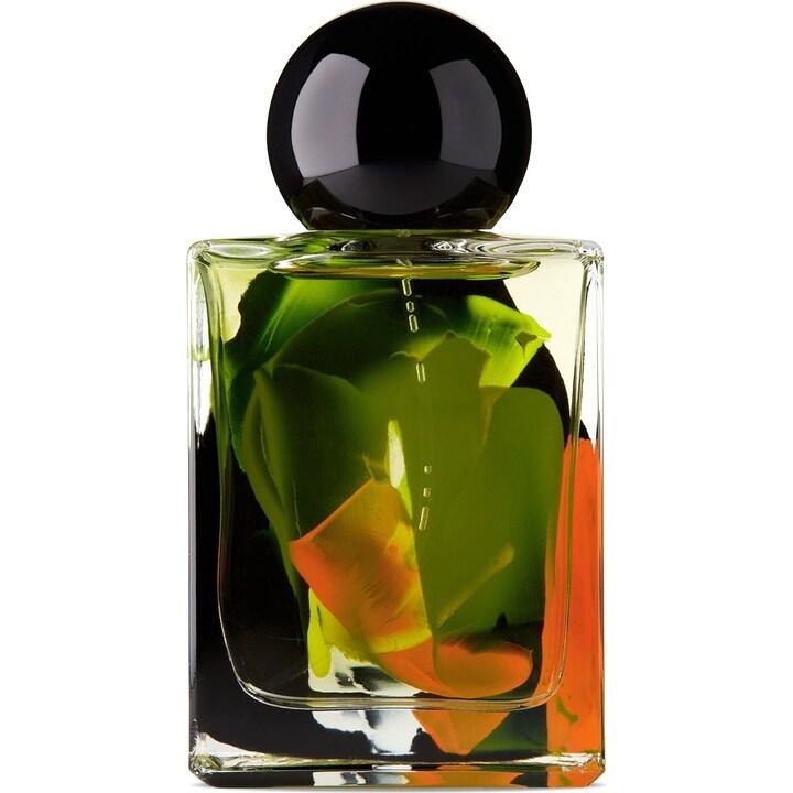 Lake Bottom by Folie à Plusieurs perfume bottle