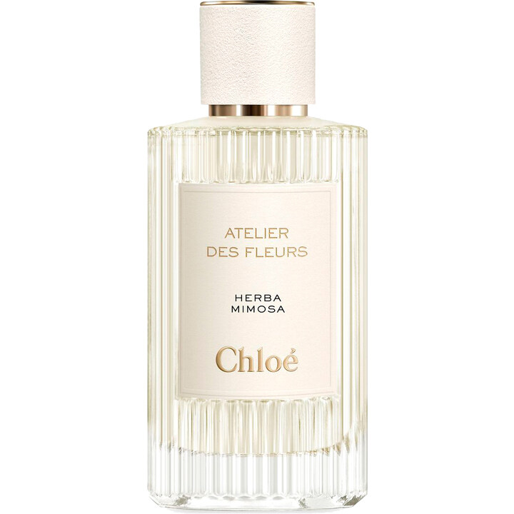 Atelier des Fleurs - Herba Mimosa by Chloé perfume bottle