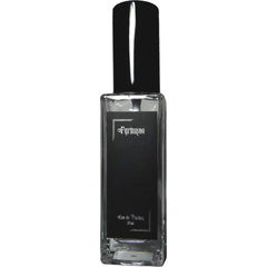Storm Chaser EDP by Fyrinnae perfume bottle