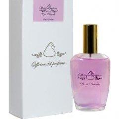 Rosa Primula by Marcoccia / Officine del Profumo perfume bottle