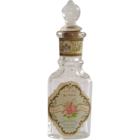 Lilac Bloom by Foote & Jenks perfume bottle