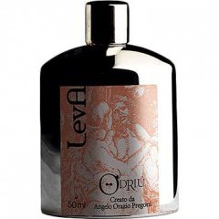 Leva by O'Driù perfume bottle