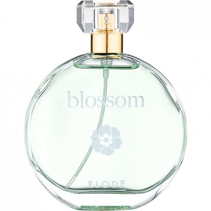 Blossom by Elode perfume bottle