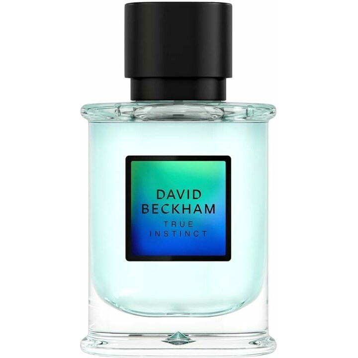 True Instinct by David Beckham perfume bottle