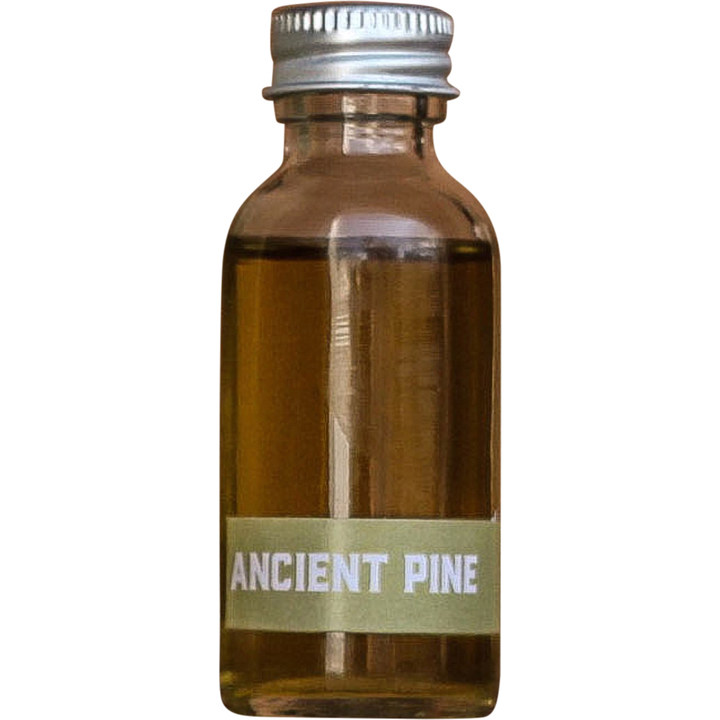Ancient Wood / Ancient Pine by Barnaby Black perfume bottle