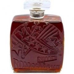 Nuit Romantique by Delyna perfume bottle