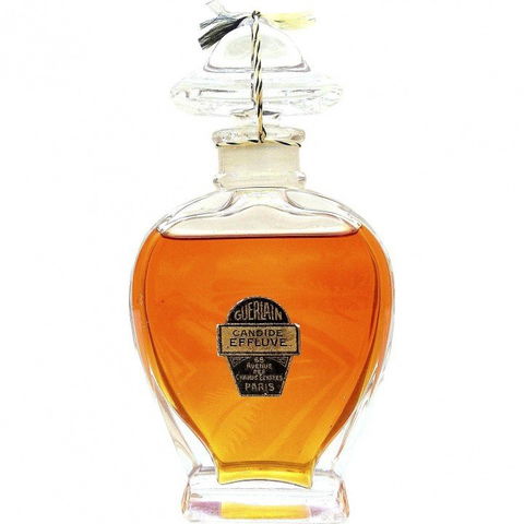 Candide Effluve by Guerlain perfume bottle