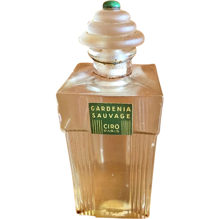 Gardenia Sauvage by Ciro perfume bottle