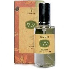 Olive Leaf by Thymes perfume bottle