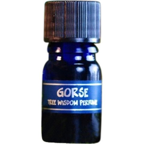 Tree Wisdom Perfume - Gorse by Star Child perfume bottle