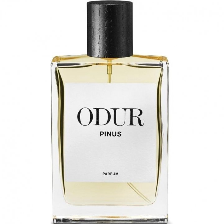 Pinus by Odur perfume bottle