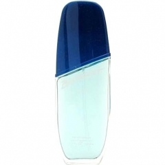 Baywatch Man by Baywatch perfume bottle