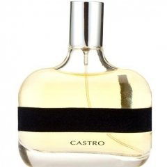 Black for Men by Castro perfume bottle