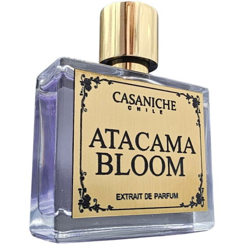 Atacama Bloom