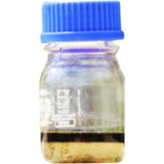 Sultan Osman by Ensar Oud / Oriscent perfume bottle