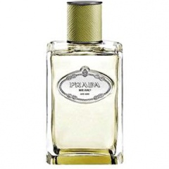Infusion de Vétiver (2015) by Prada perfume bottle