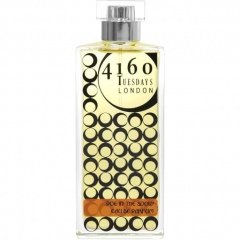 Doe in the Snow by 4160 Tuesdays perfume bottle