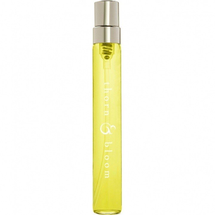 Limestone by Thorn & Bloom perfume bottle