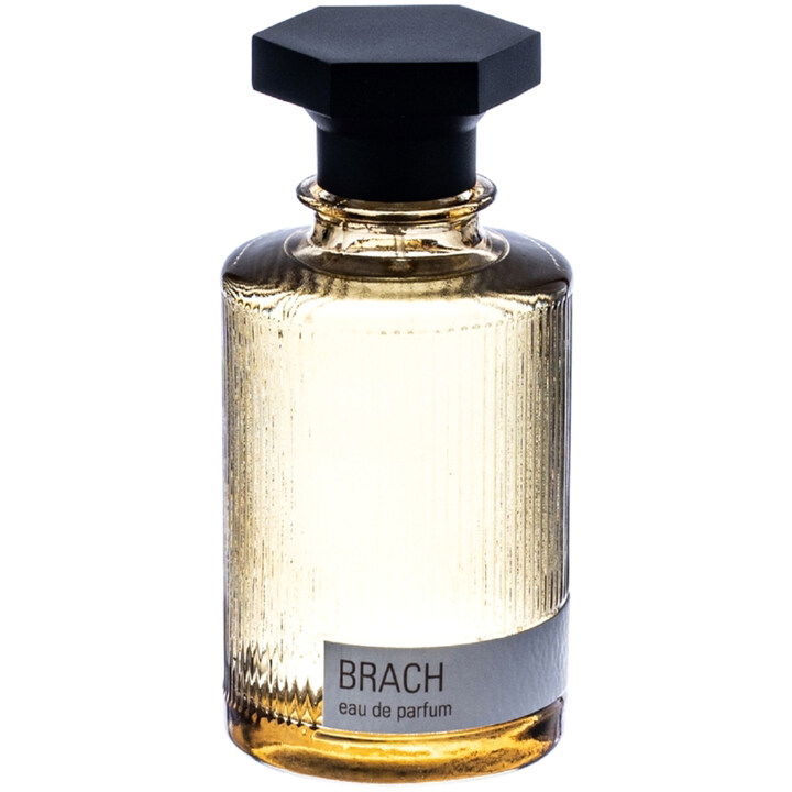 Brach by Evok perfume bottle