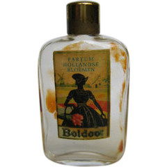 Hollandse Bloemen by Boldoot perfume bottle