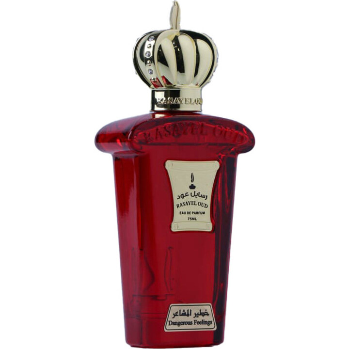 Dangerous Feelings / خطير المشاعر by Rasayel Oud / رسايل عود perfume bottle