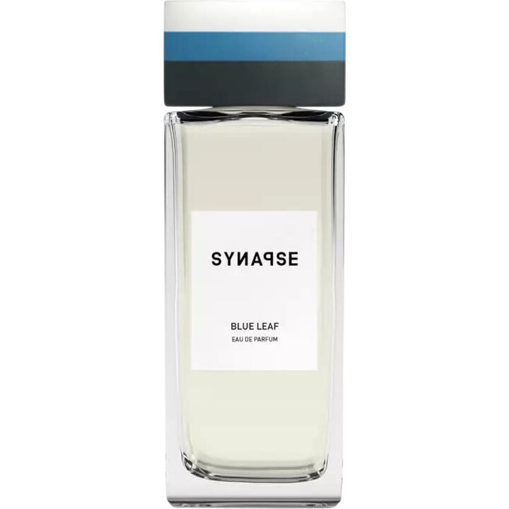 Blue Leaf by Synapse perfume bottle