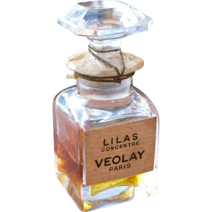 Lilas Concentré by Violet / Veolay perfume bottle