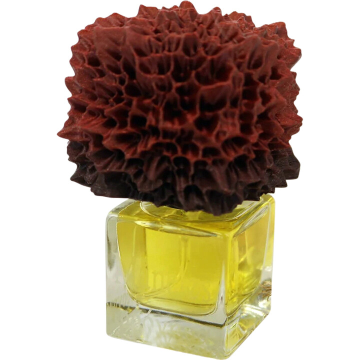 Måneløs by Phronema Perfumes perfume bottle