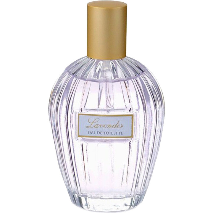 Floral Collection - Lavender / Lavandula Angustifolia