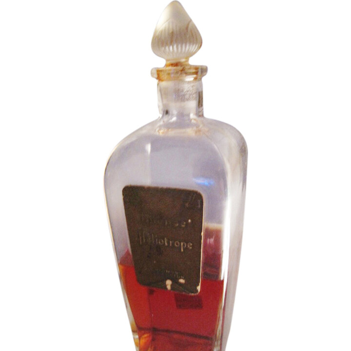 Intense Heliotrope by Harmony of Boston perfume bottle