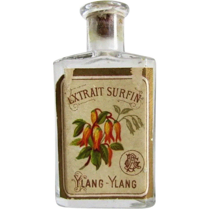 Extrait Surfin Ylang-Ylang by Unknown Brand / Unbekannte Marke perfume bottle