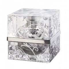 VV Platinum by Roberto Verino perfume bottle