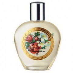 Holygrace by Comme des Garçons perfume bottle