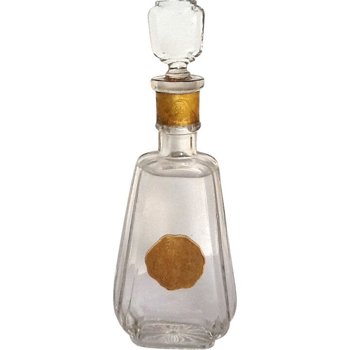 Ennegé by NG perfume bottle