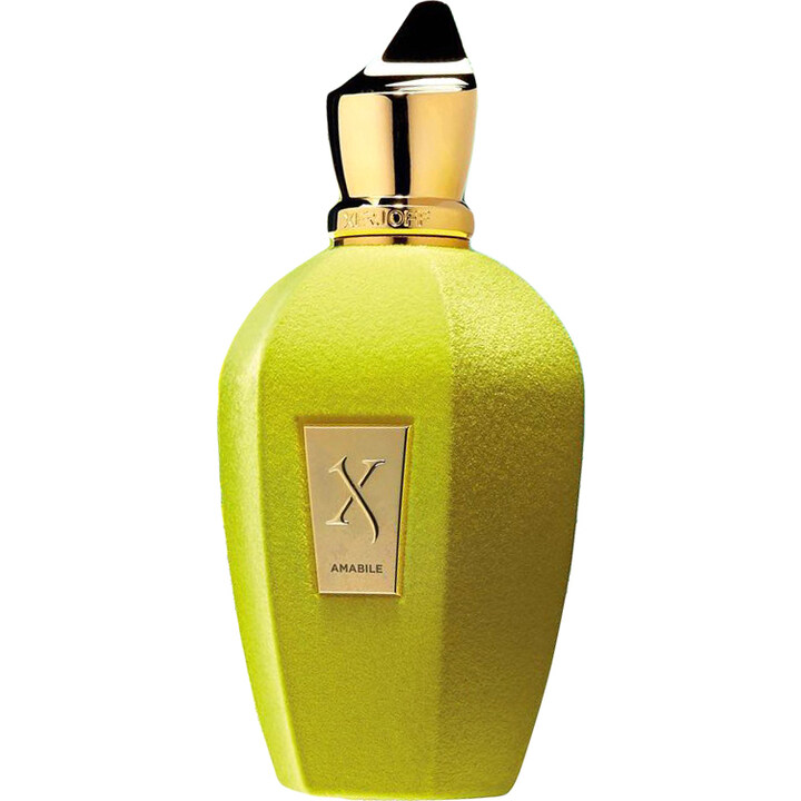 Amabile by XerJoff perfume bottle