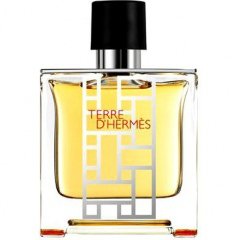Terre d'Hermès Flacon H 2013 by Hermès perfume bottle
