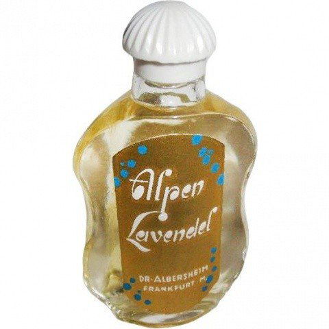 Alpen Lavendel