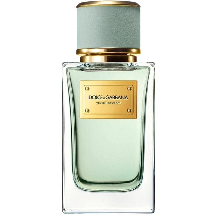 Velvet Infusion by Dolce & Gabbana perfume bottle