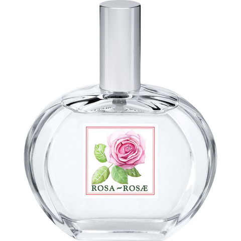 I Classici - Rosa-Rosae by Helan perfume bottle