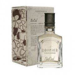SoCal (Perfume) by Hollister perfume bottle