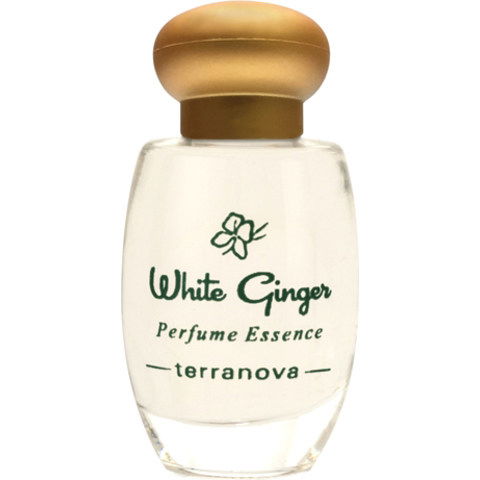 White Ginger (Perfume Essence) by Terranova perfume bottle