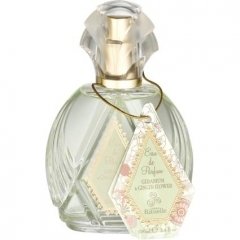 Geranium & Ginger Flower by Urban Rituelle perfume bottle