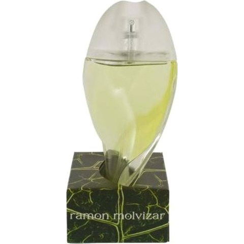 Leaves Homme by Ramón Molvizar perfume bottle