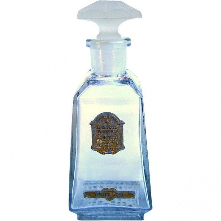 White Rose by Agra Perfumes perfume bottle