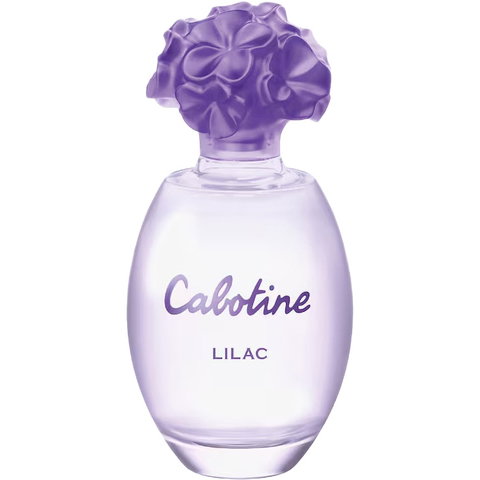 Cabotine Lilac