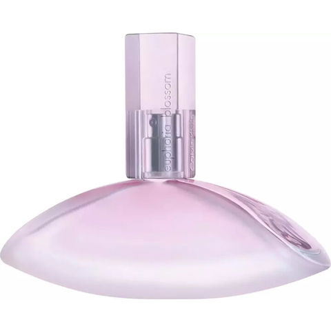 Euphoria Blossom by Calvin Klein perfume bottle