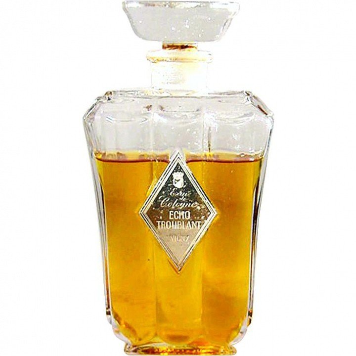 Echo Troublant by Vigny perfume bottle