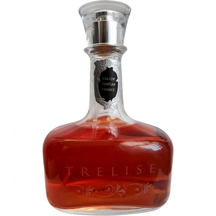Trelise by Trelise Cooper perfume bottle