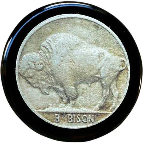 B for Bison