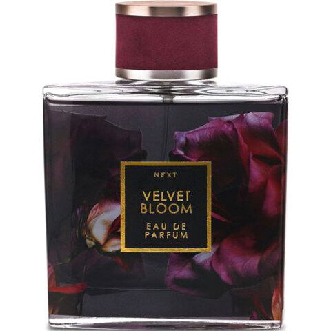 Velvet Bloom by Next perfume bottle